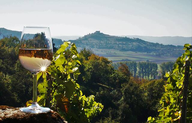 Weinsicht aus den Unterjesinger Weinbergen