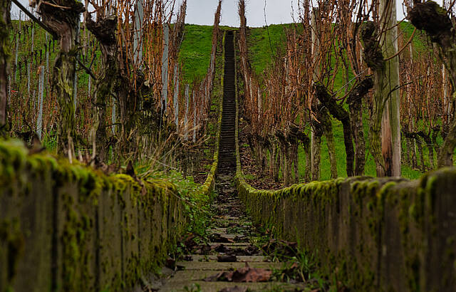 Wasserstaffel in den Himmel