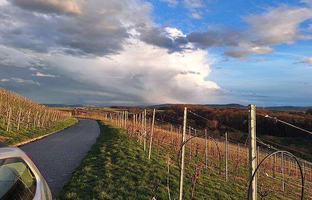 Lemberg Affalterbach 