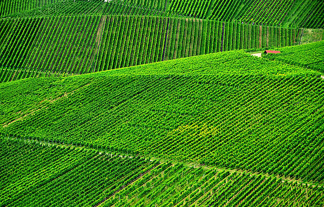 fifty shades of... green