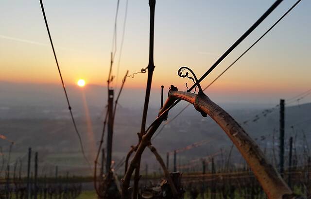 Untergehende Wintersonne 2