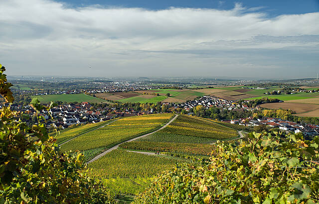 Ausblick vom Benning bis zum Hohen Asperg