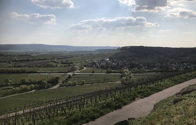 Zweifelberg im Frühling