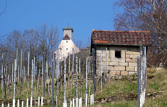 Weinberghäusle unterm Schloß