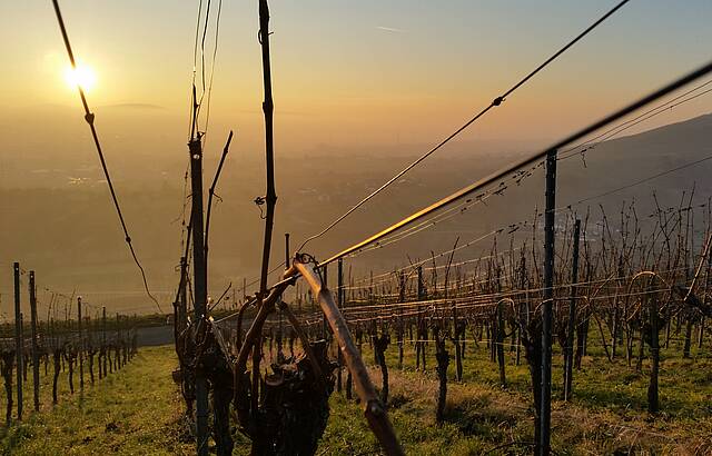 Untergehende Wintersonne 1