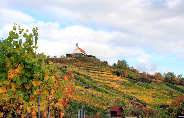 Droben stehet die Kapelle
