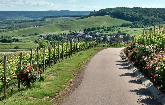 Die schwäbische Toskana