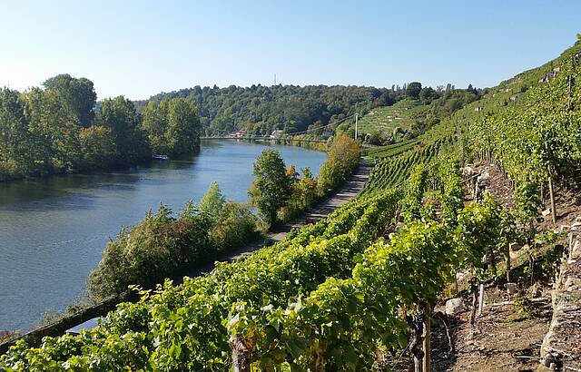 Ausblick 'Maurewengert'