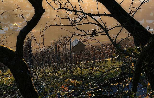 Das Fenster zur Stadt Heilbronn