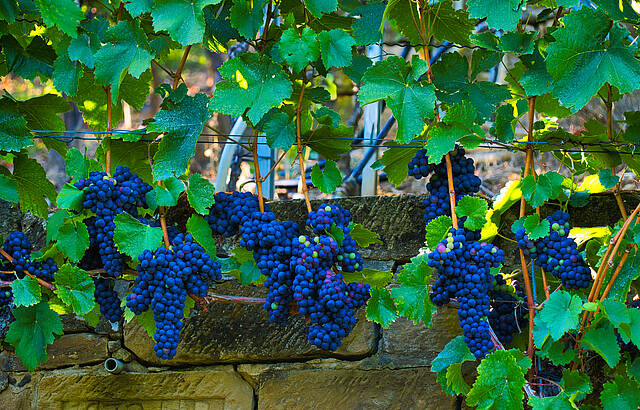 Wie aus dem Bilderbuch