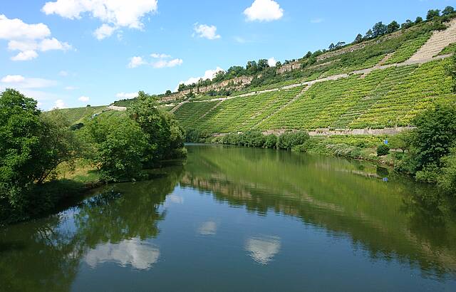 Hessigheimer Felsengärten 