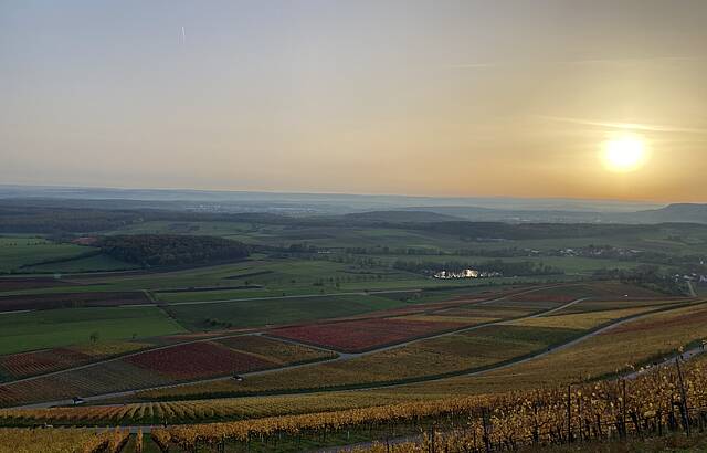 Hohenhaslacher Weinberge