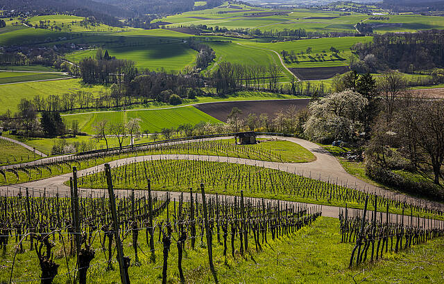Toller Weitblick an einem Frühlingstag
