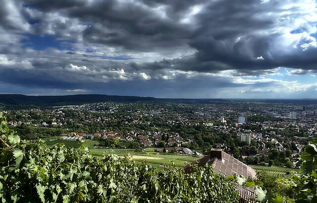 Die Wengerter müssen nicht mehr länger auf Regen warten...