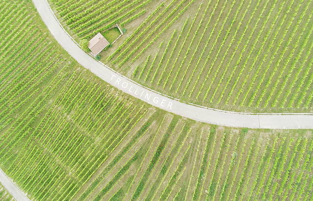 Württemberger Orginal