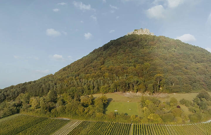 Weingärtnergenossenschaft Hohenneuffen-Teck eG
