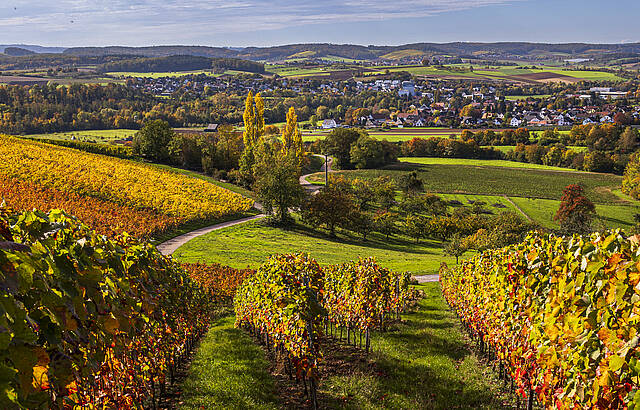 Die Farben des Herbstes 