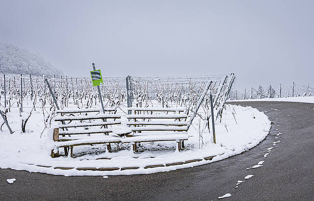 Die Bank im Weinberg oberhalb der Kelter Adolzfurt ist besetzt