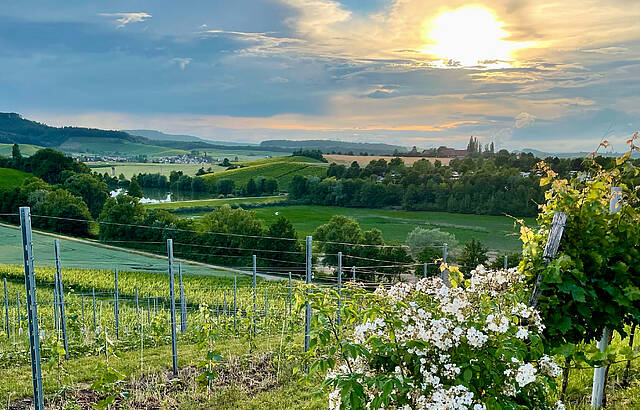 Abendstimmung im Weinsberger Tal 