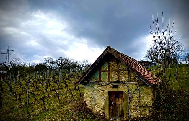 Wengerthäusle bei Freiberg am Neckar
