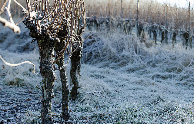 Eschelbacher Schwobajörgle