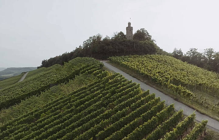  Heuchelberg Weingärtner eG