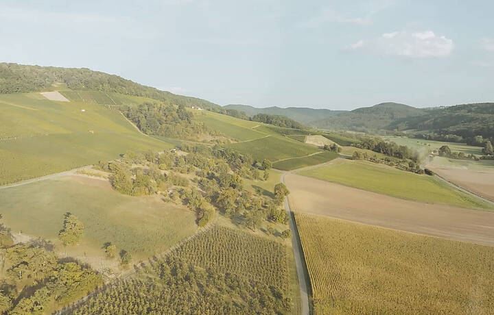 Weinkellerei Hohenlohe eG