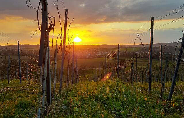 Sonnenuntergang am Lindelberg (2)
