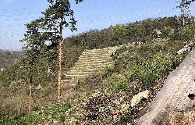 Steiiagen unter Strom