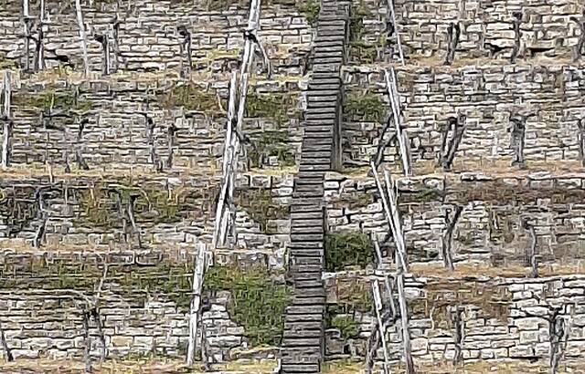 Lauffen Katzenbeisser