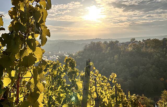 Hinter dem Brunnen in Walheim 