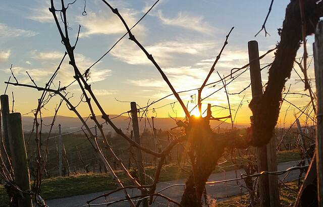 Sonnenuntergang im Februar