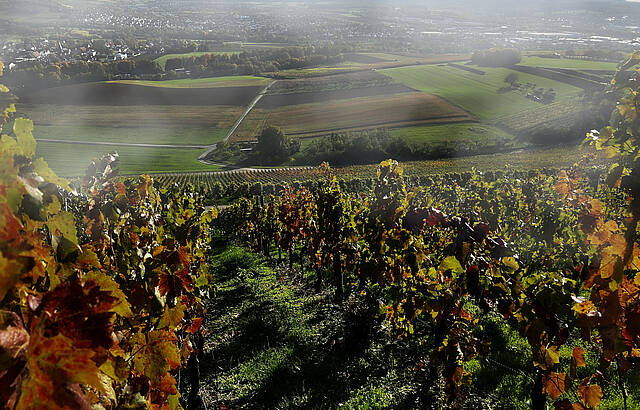 Die Sonne verscheucht den Nebel