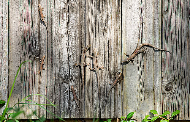 Besuch beim Weinberghaus