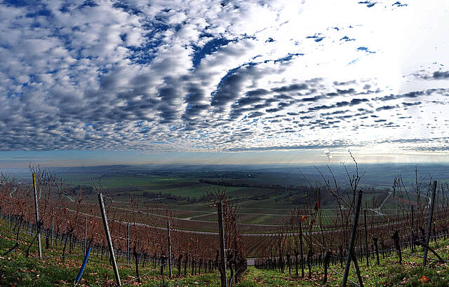 Novemberblue über der Heuchelberger Warte