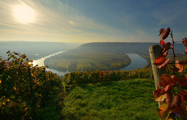 Goldenes Herbstlicht