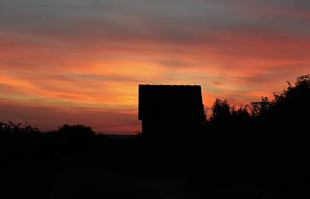 Abendstimmung im Weinberg