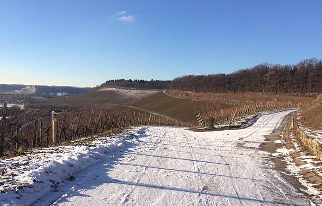 Winter am Zweifelberg