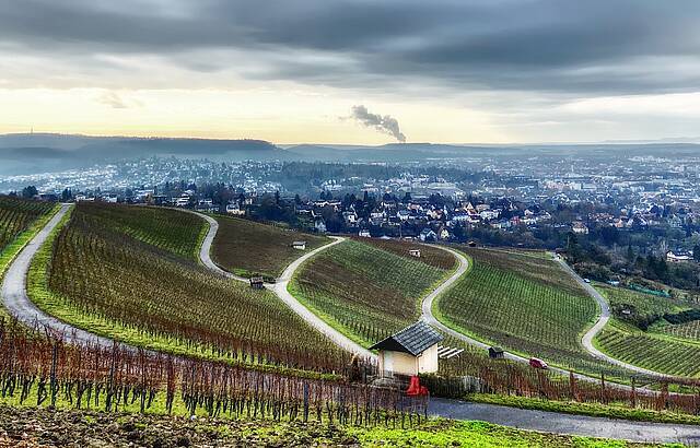 WeinPanoramaWeg Wartberg