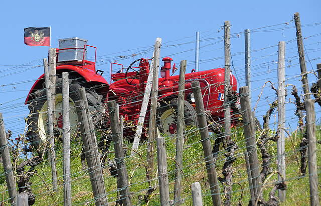 Württemberger unter sich