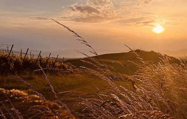 Magische Momente in Leiselheim ❤️
