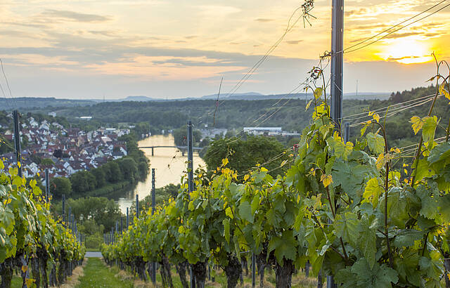 Abendstimmung in Marbach
