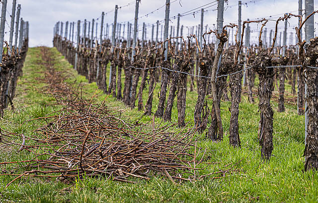 Aufgeräumt ..., jetzt kann der Frühling kommen