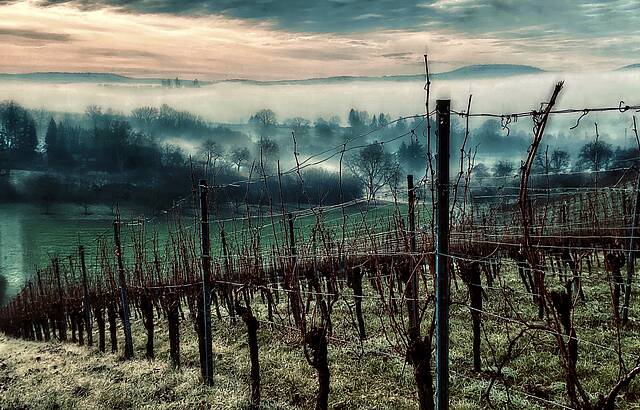 Nebeliger Sonnenaufgang 