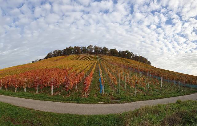Am Fuße des Lembergs