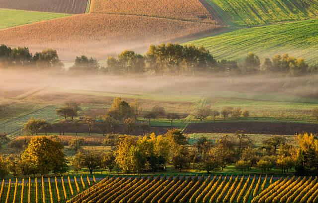 Herbstliche Nebelschwaden 