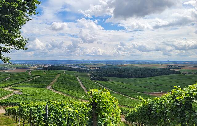 Wandern in Württemberg