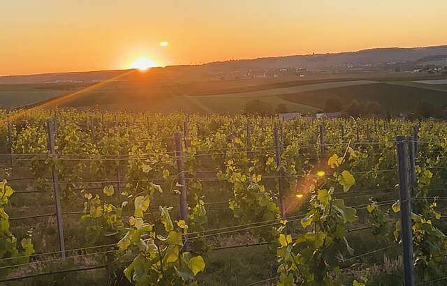 Sonnenuntergang im Ländle