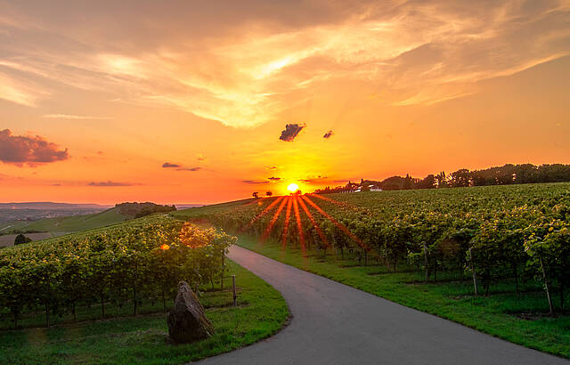 Letzte Sonnenstrahlen 