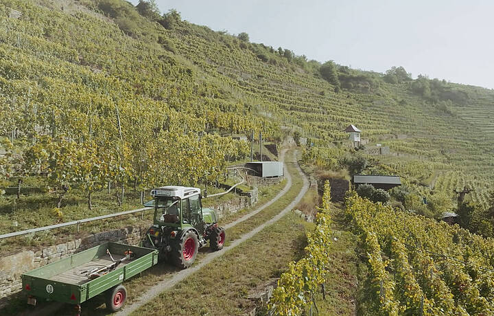 Lembergerland Kellerei Rosswag eG